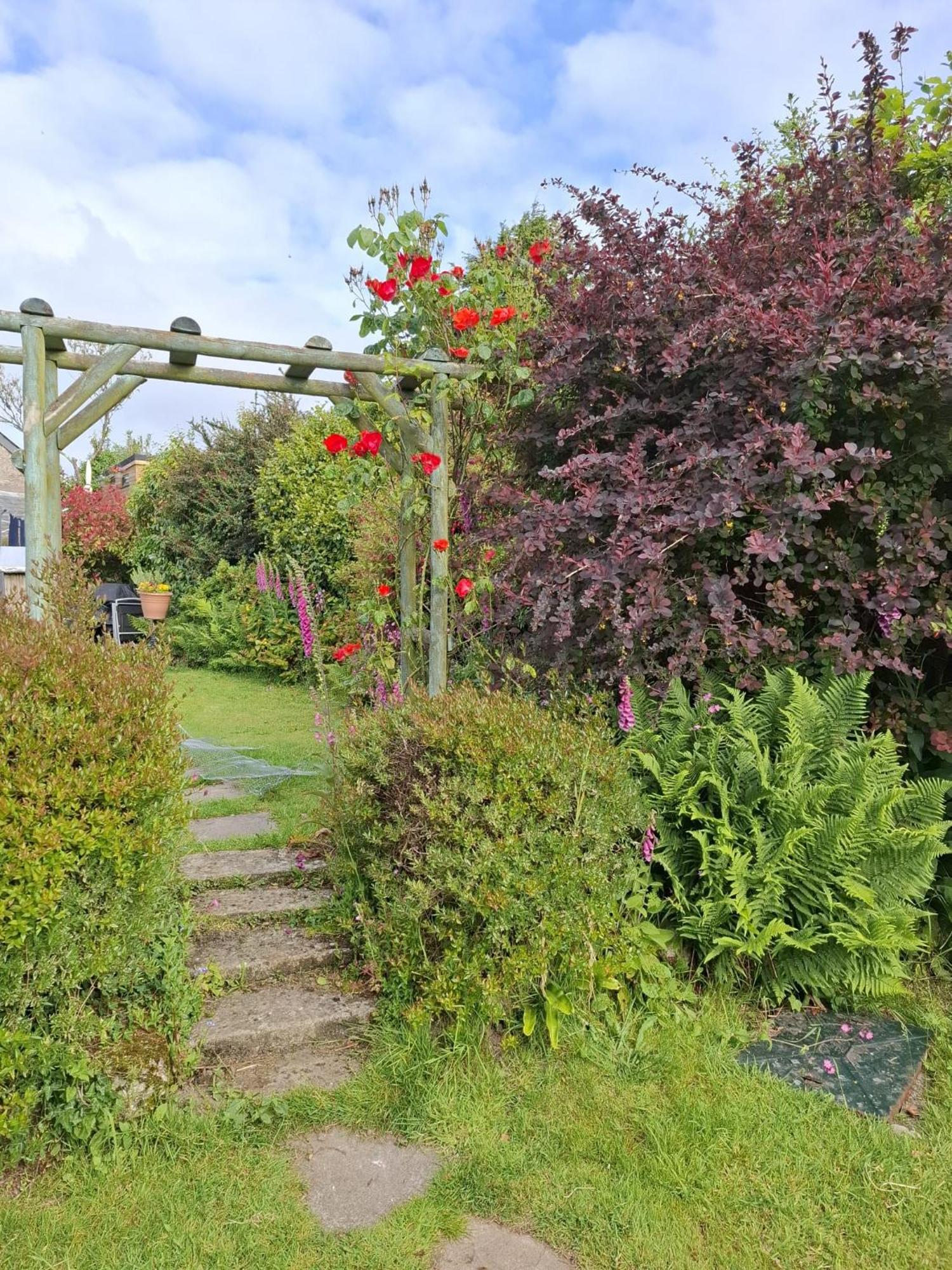 Cosy Cornish Cabin St Austell Zewnętrze zdjęcie