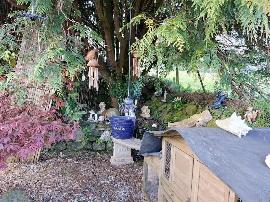 Cosy Cornish Cabin St Austell Zewnętrze zdjęcie