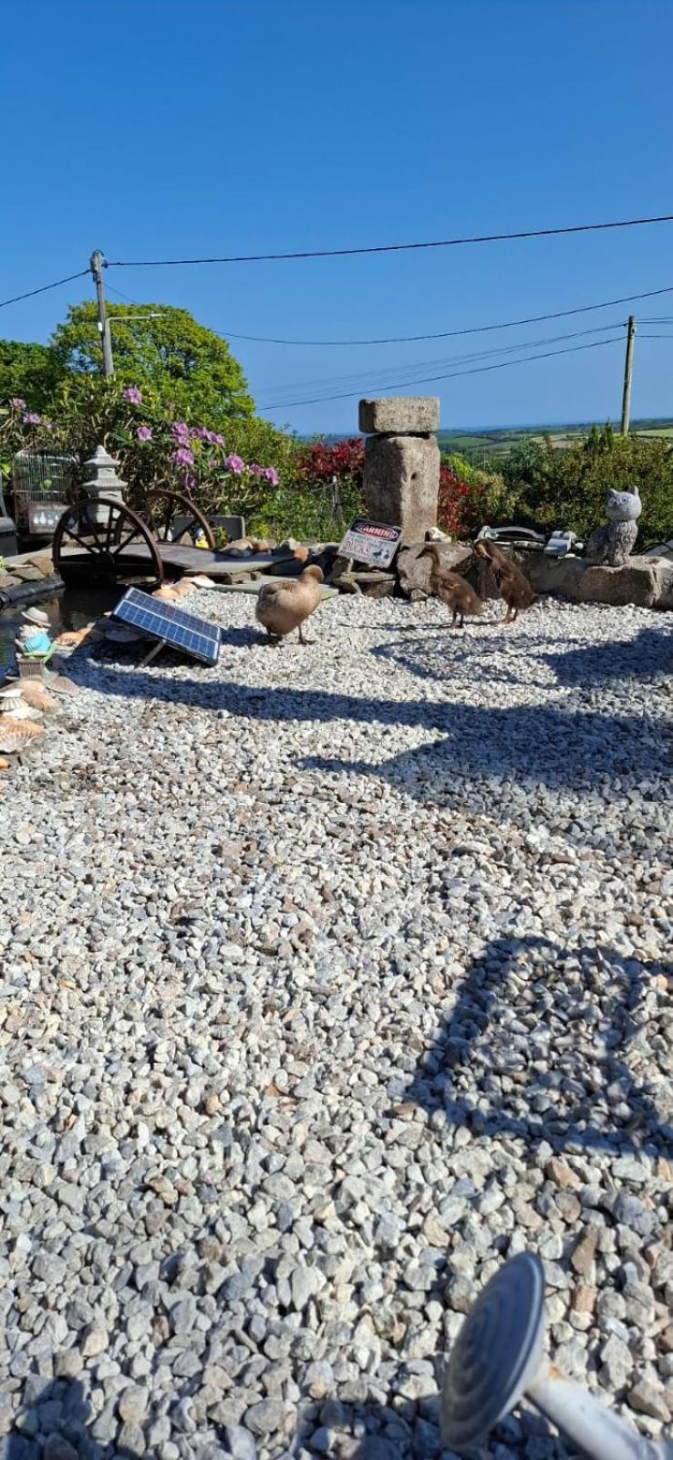 Cosy Cornish Cabin St Austell Zewnętrze zdjęcie